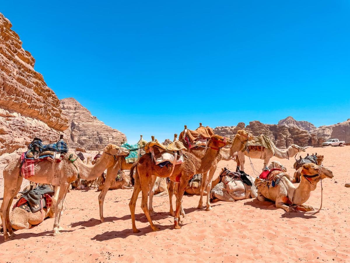 Rum Jordan Camp And Tours ワディ ・ラム エクステリア 写真